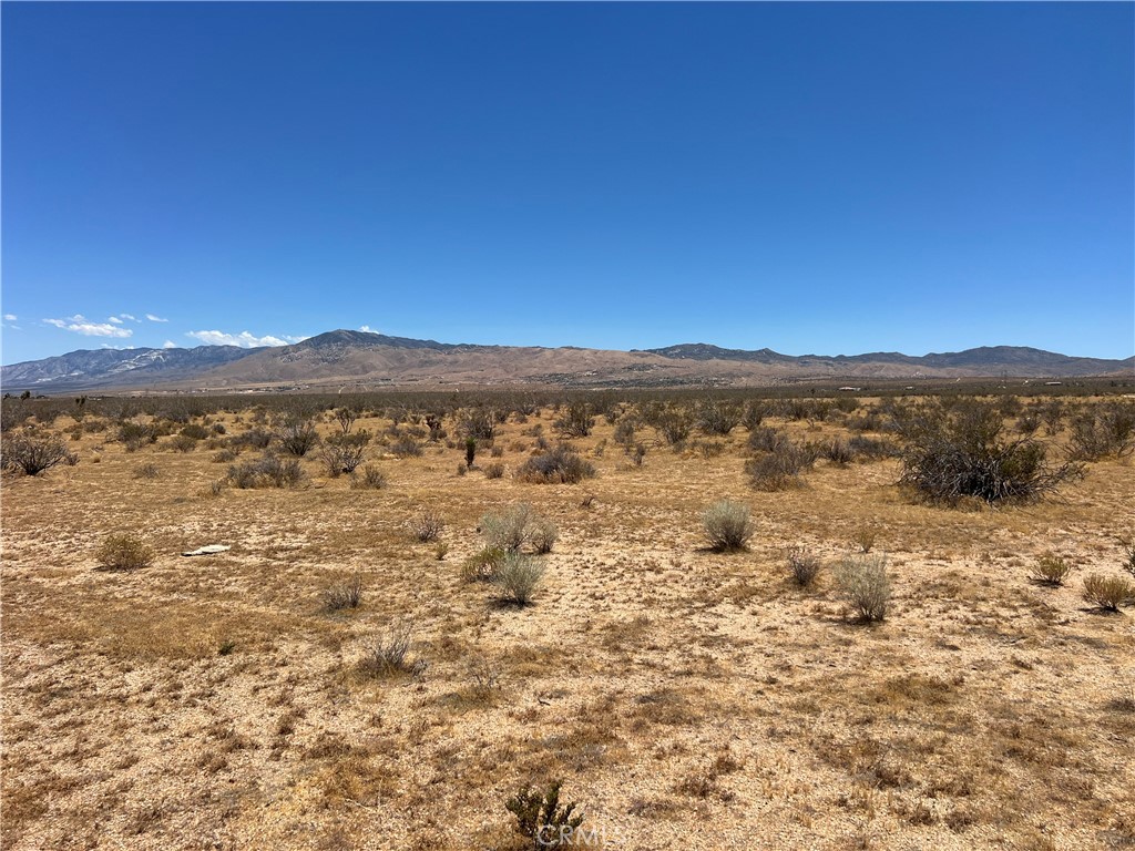 21771 1/2 Del Oro Road Apple Valley, CA 92308 - Photo 6 of 9