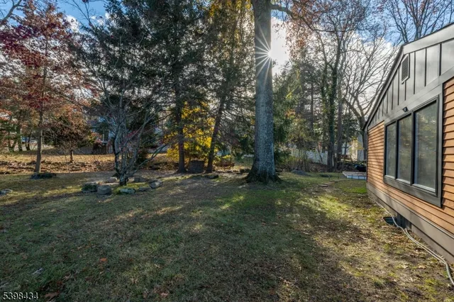 a view of park with tree