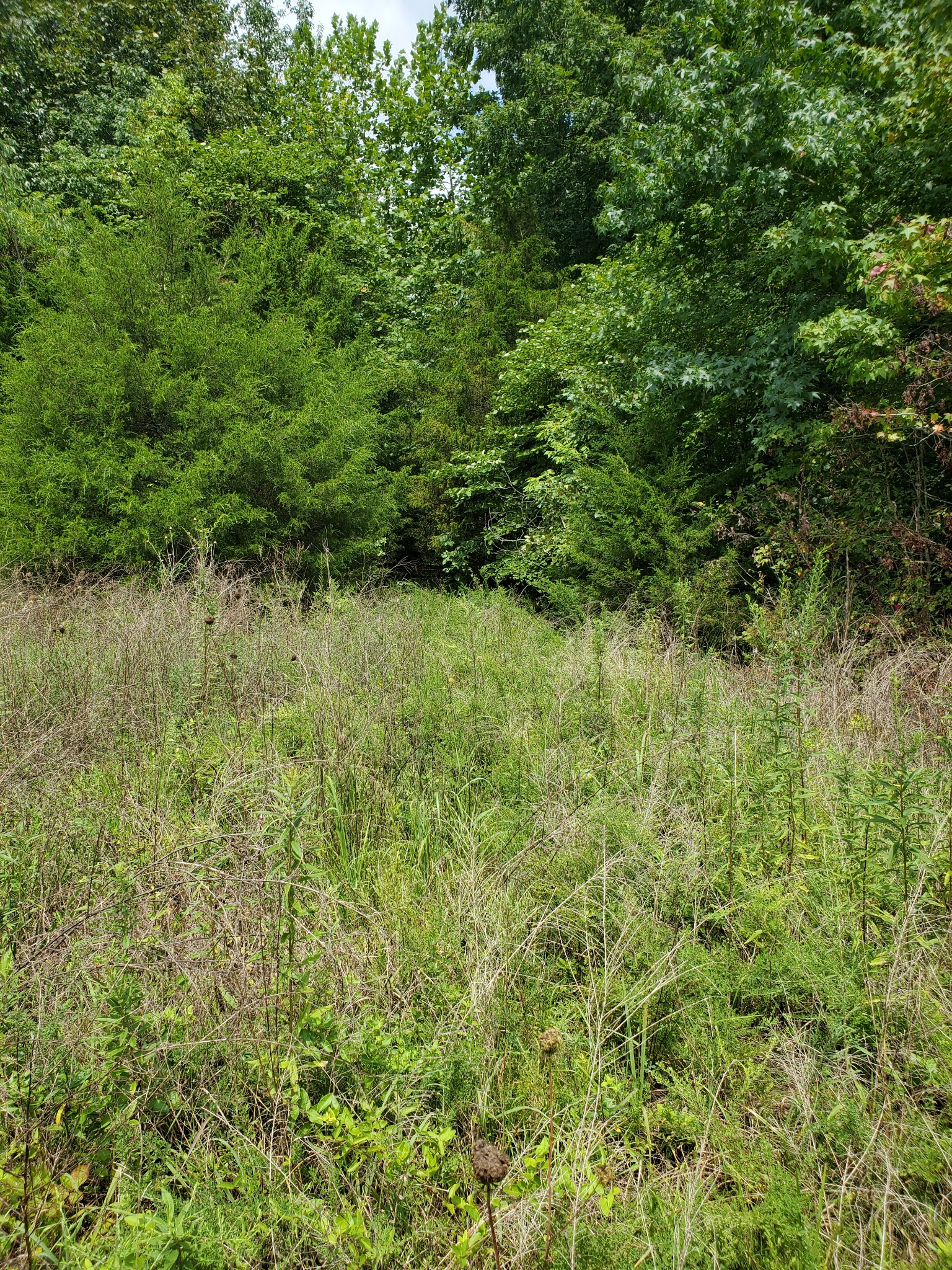 0 Robert Elliott Road Cedar Hill, TN 37032 - Photo 1 of 6 Gallery Image 1