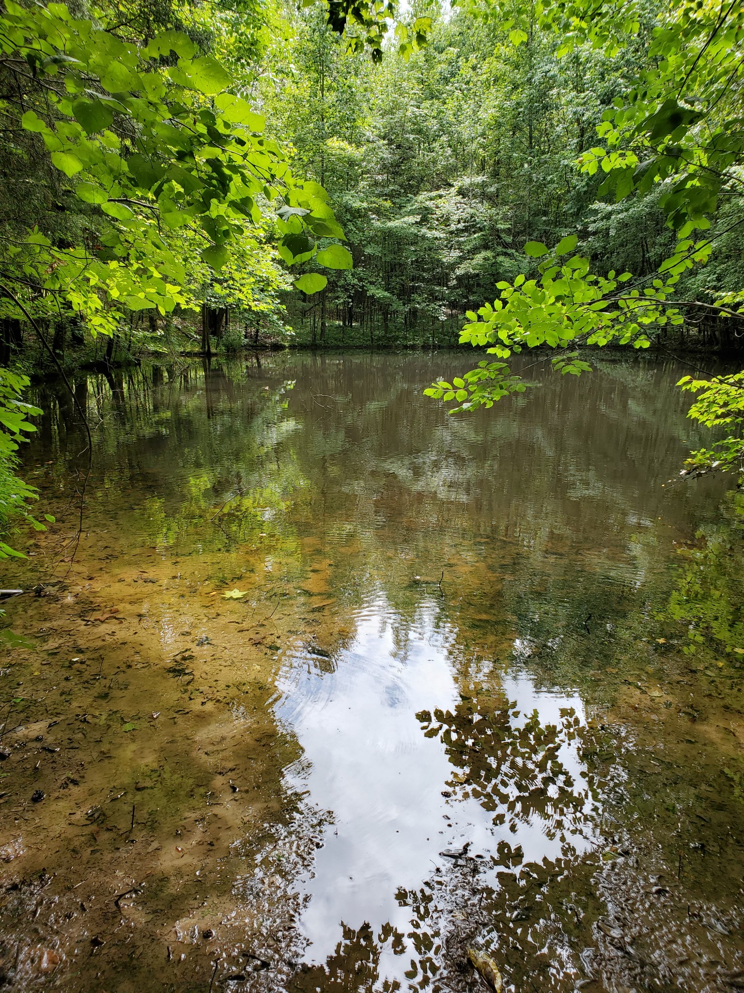 0 Robert Elliott Road Cedar Hill, TN 37032 - Photo 3 of 6 Gallery Image 3