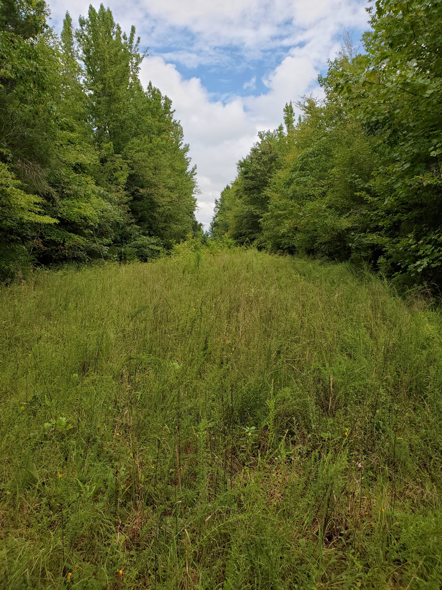 0 Robert Elliott Road Cedar Hill, TN 37032 - Photo 6 of 6 Gallery Image 6