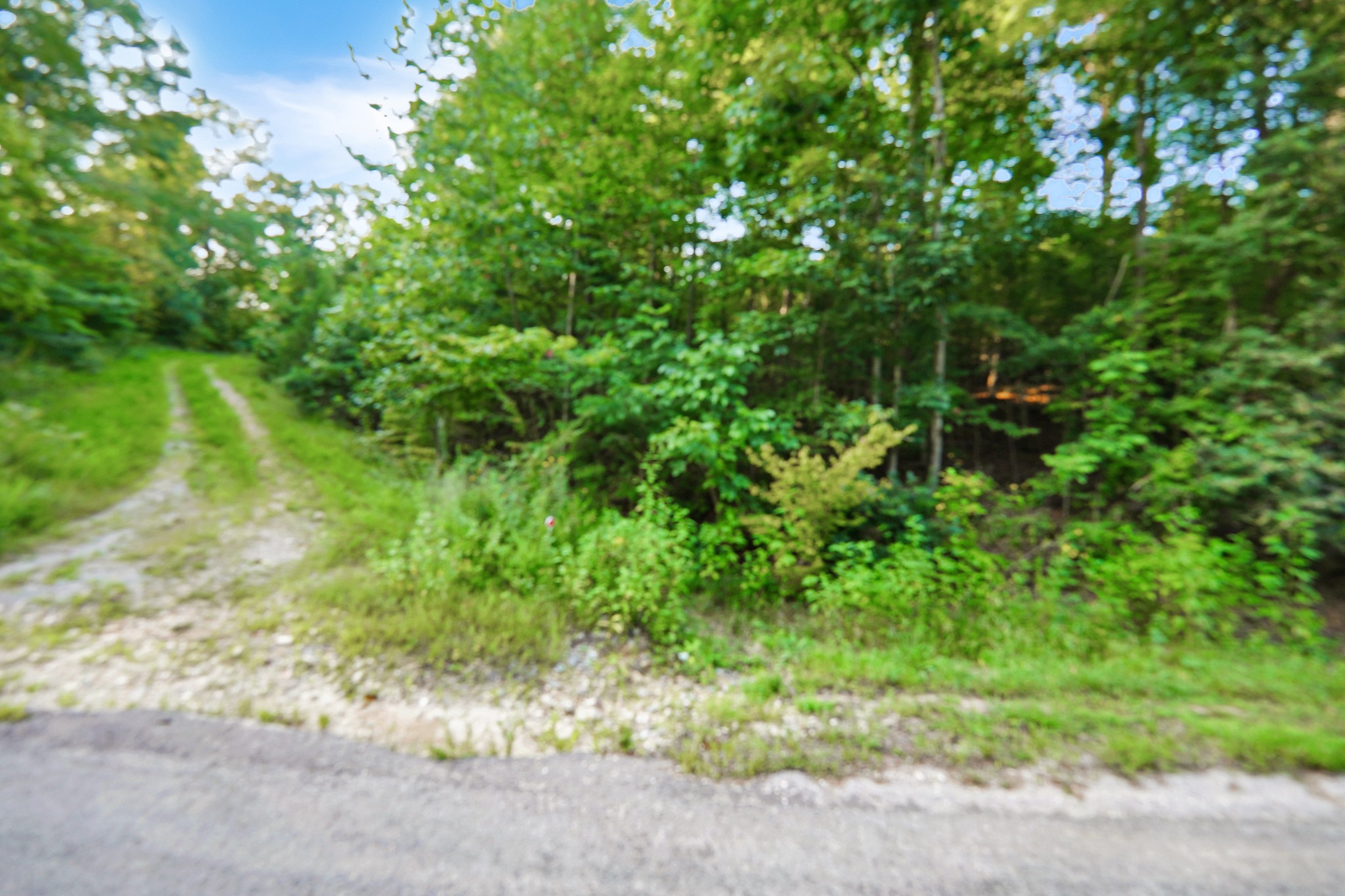 4 Cox Hollow Road Dover, TN 37058 - Photo 1 of 16 Gallery Image 1