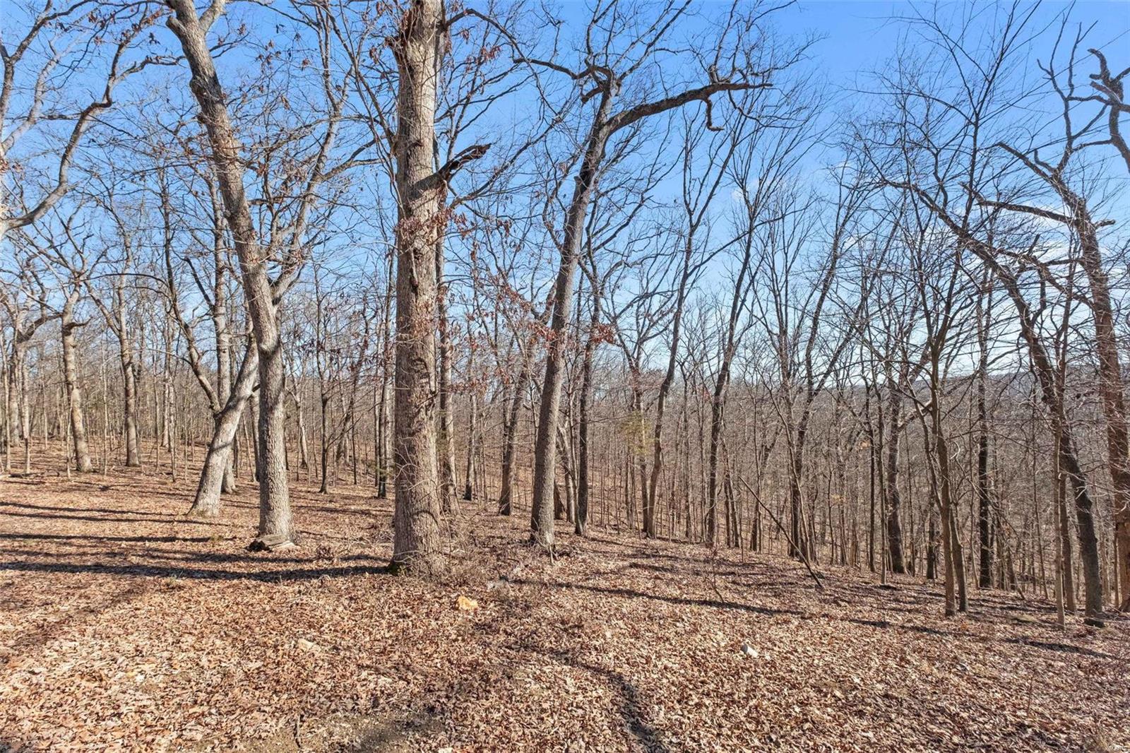 200 Rugged Acres Lane Defiance, MO 63341 - Photo 51 of 64 Gallery Image 51