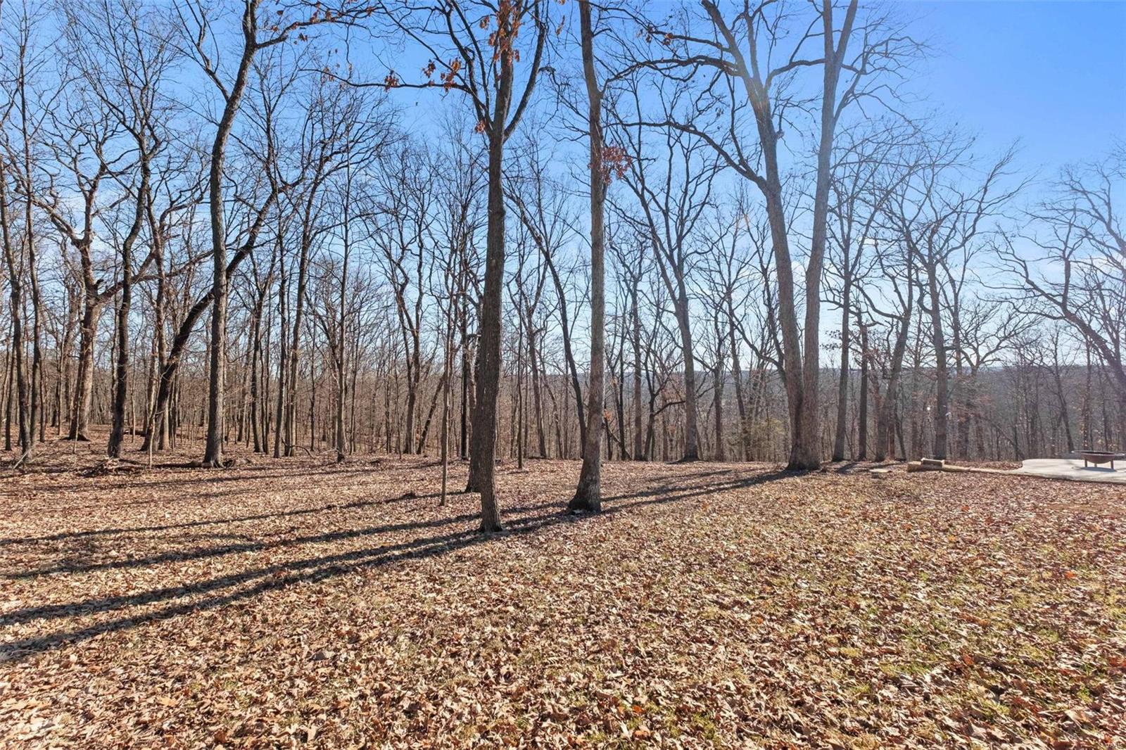 200 Rugged Acres Lane Defiance, MO 63341 - Photo 54 of 64 Gallery Image 54