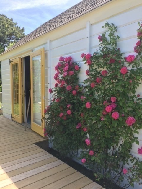 30 Lydias Island Road Wareham, MA 02571 - Photo 4 of 18 a flower plants sitting in front of a house