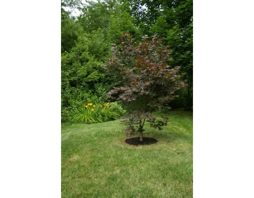 7 Tyler Lane Ashland, MA 01721 - Photo 28 of 28 Gallery Image 28