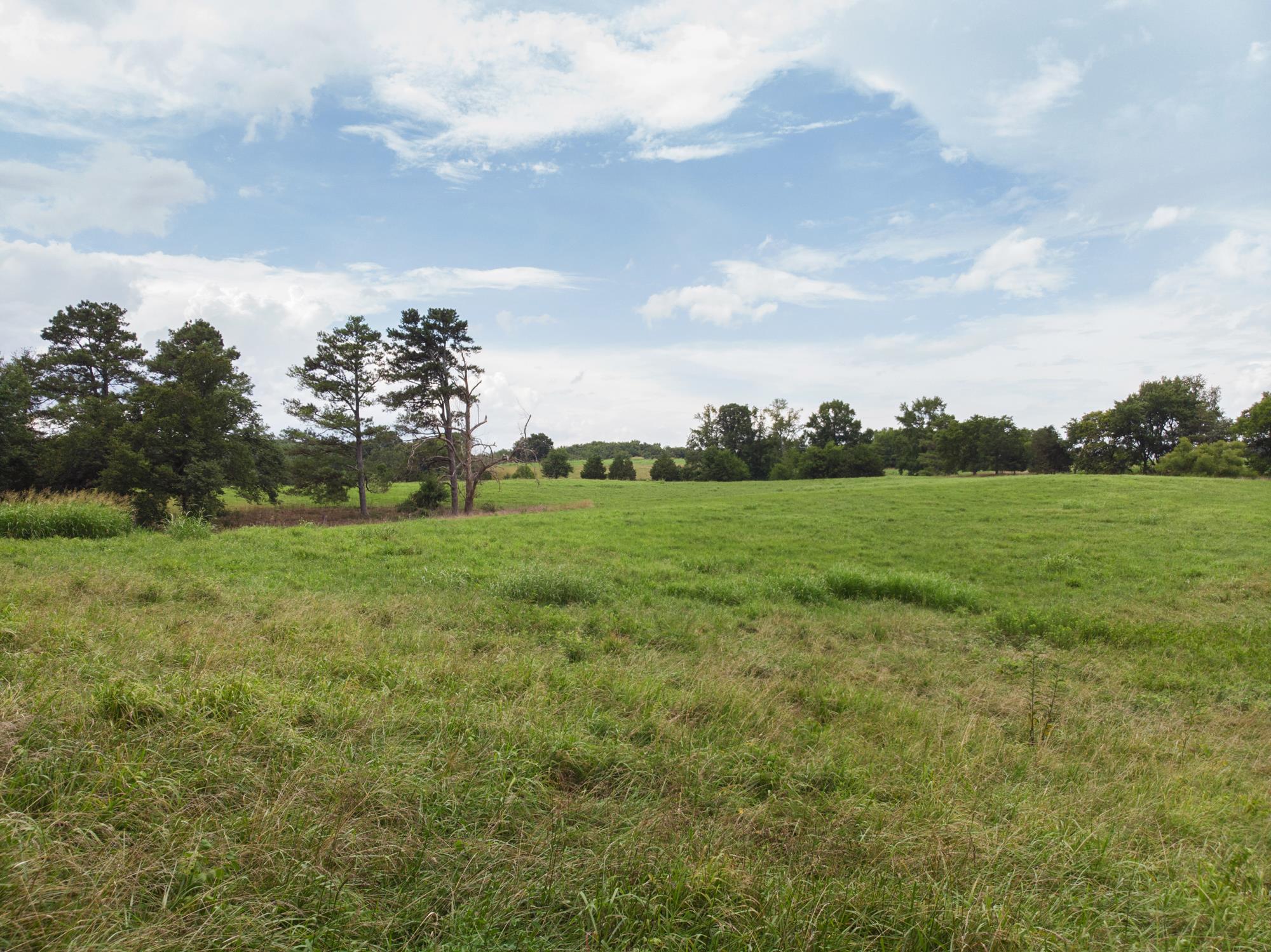 747 Pigeon Roost Road Pulaski, TN 38478 - Photo 11 of 21 Gallery Image 11