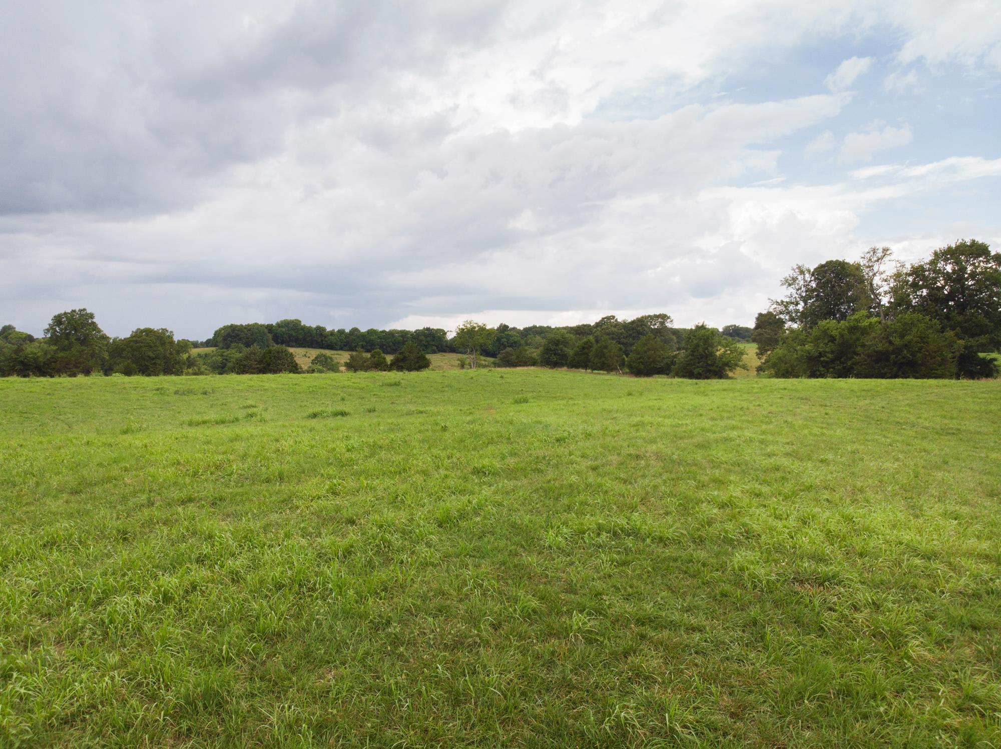747 Pigeon Roost Road Pulaski, TN 38478 - Photo 14 of 21 Gallery Image 14