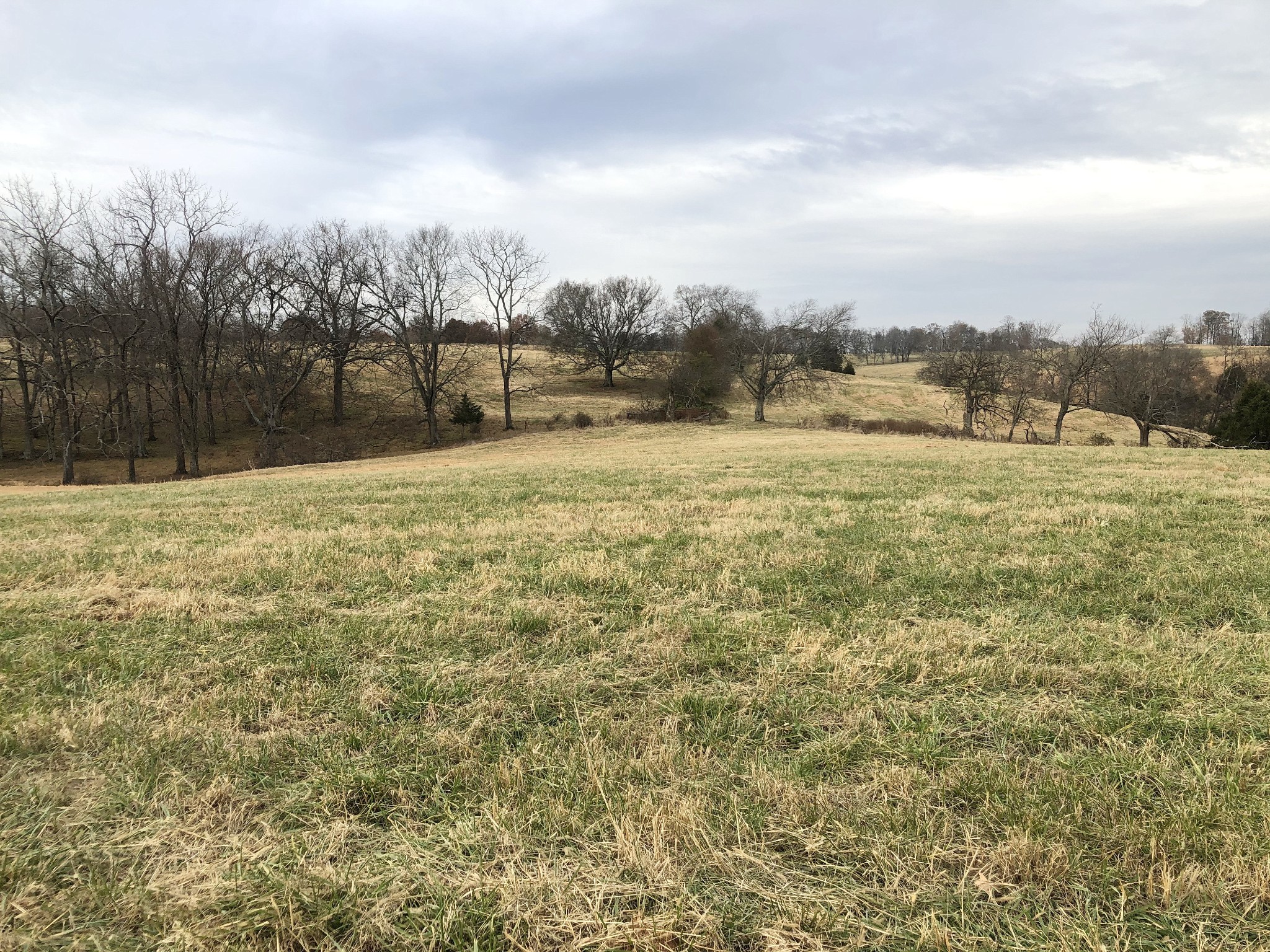 747 Pigeon Roost Road Pulaski, TN 38478 - Photo 16 of 21 Gallery Image 16
