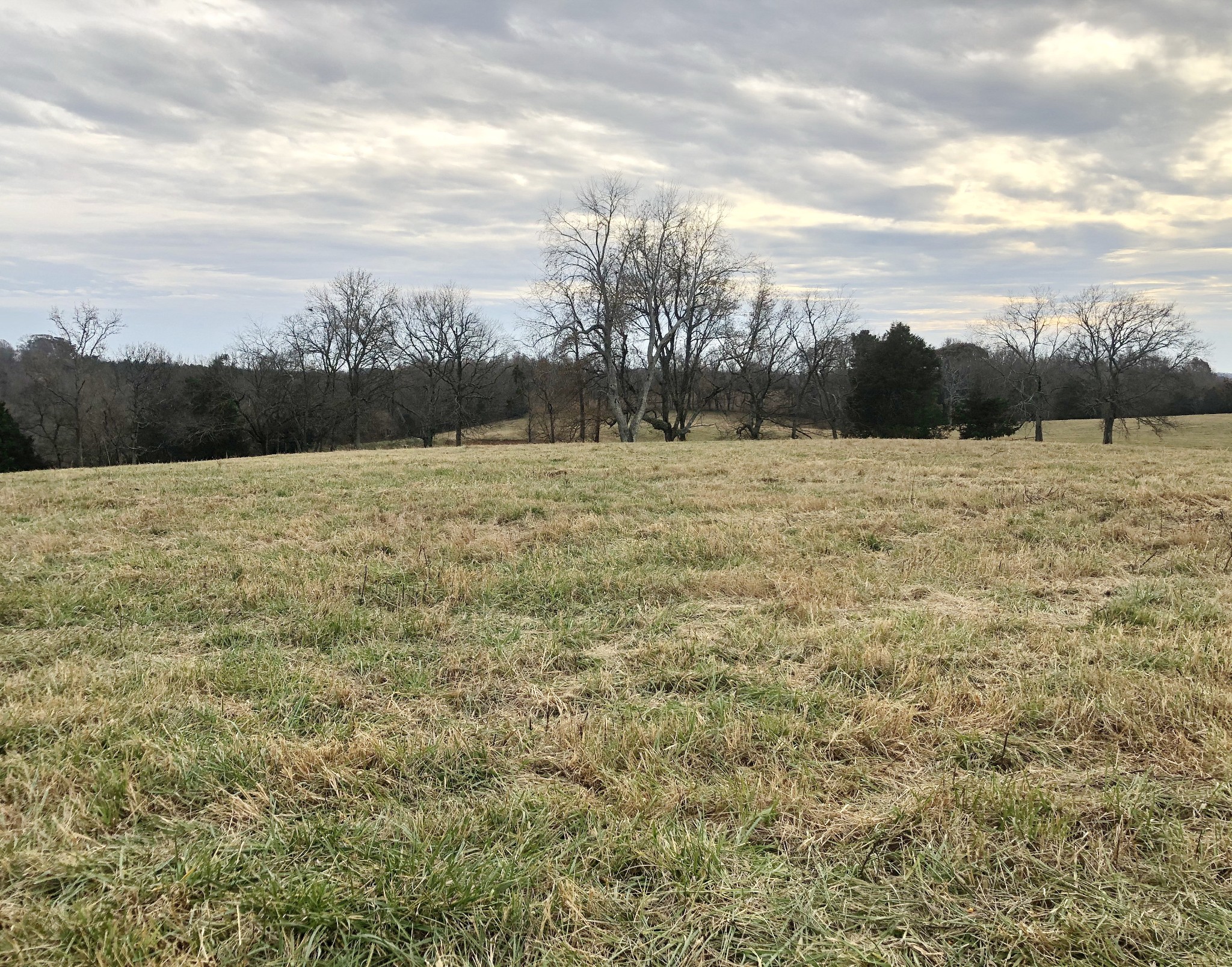 747 Pigeon Roost Road Pulaski, TN 38478 - Photo 17 of 21 Gallery Image 17