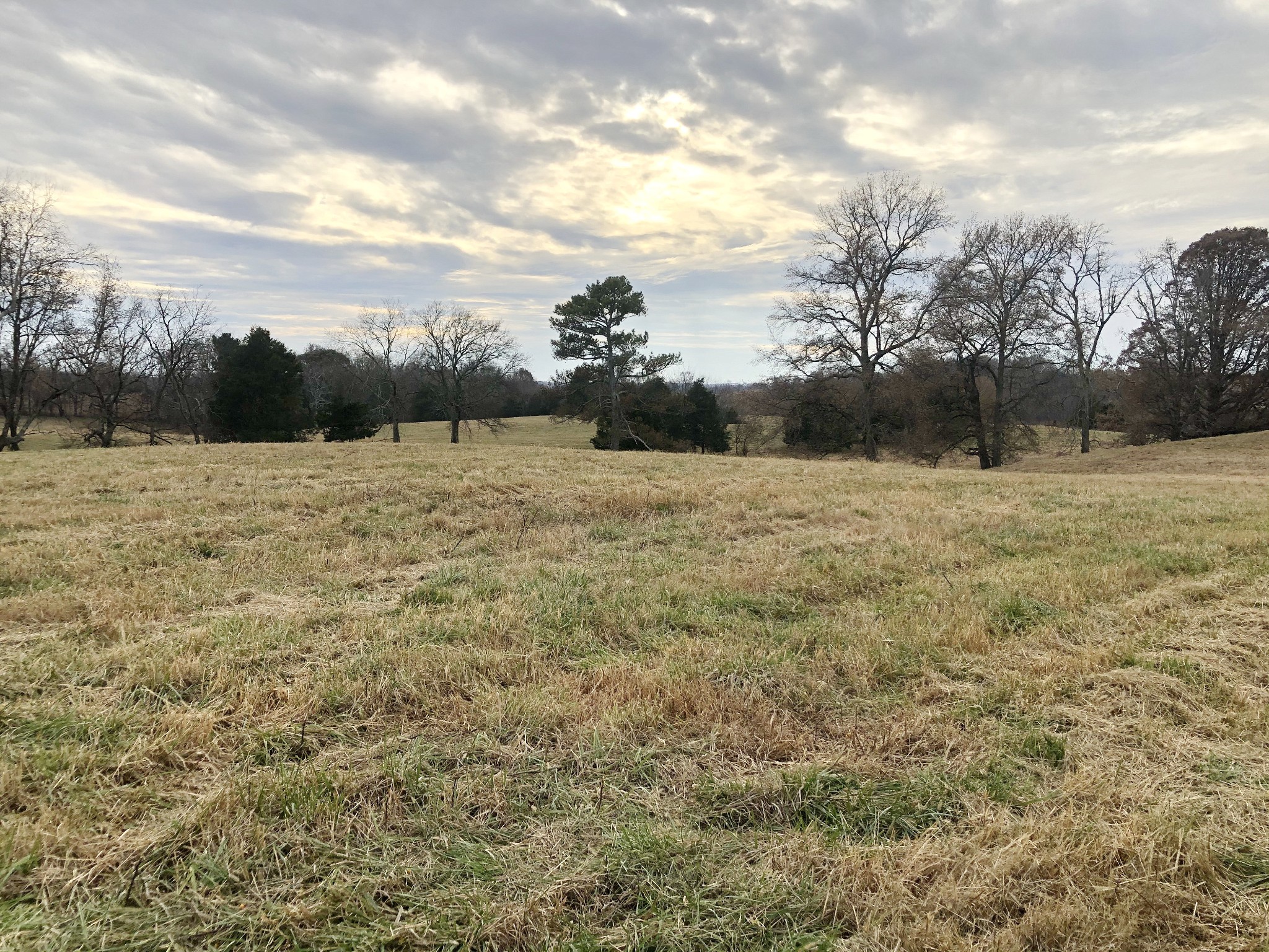 747 Pigeon Roost Road Pulaski, TN 38478 - Photo 18 of 21 Gallery Image 18