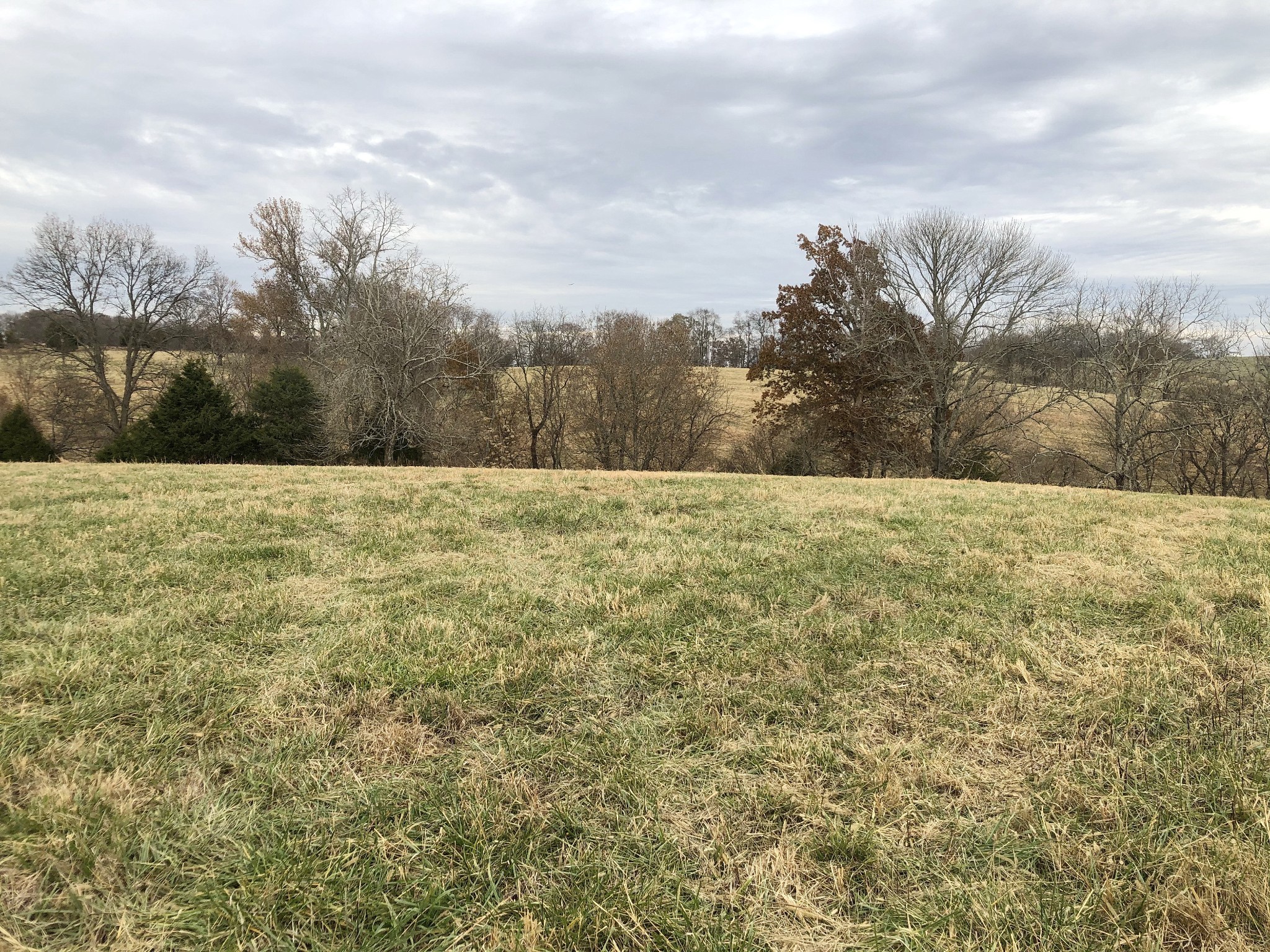 747 Pigeon Roost Road Pulaski, TN 38478 - Photo 19 of 21 Gallery Image 19