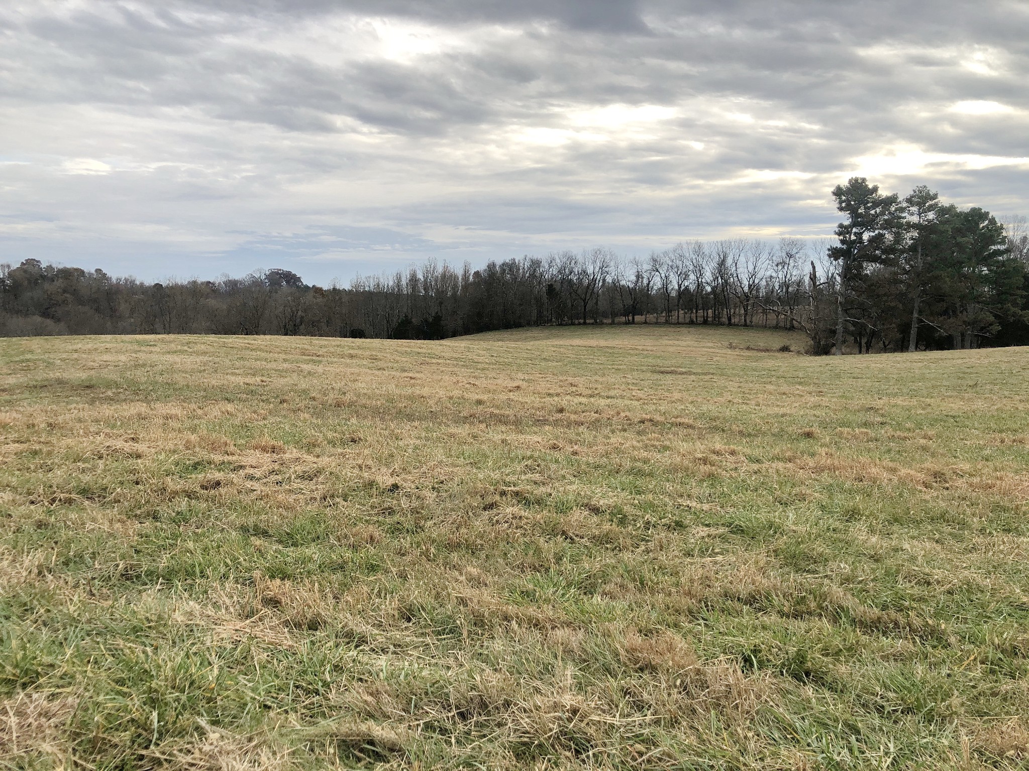 747 Pigeon Roost Road Pulaski, TN 38478 - Photo 20 of 21 Gallery Image 20