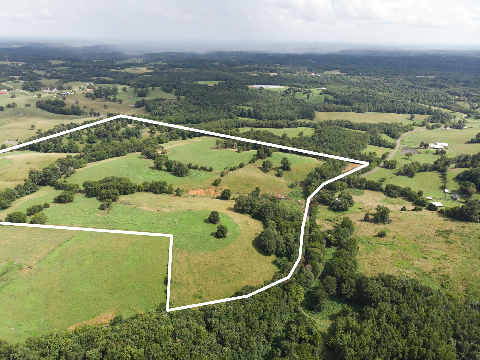 747 Pigeon Roost Road Pulaski, TN 38478 - Photo 3 of 21 Gallery Image 3