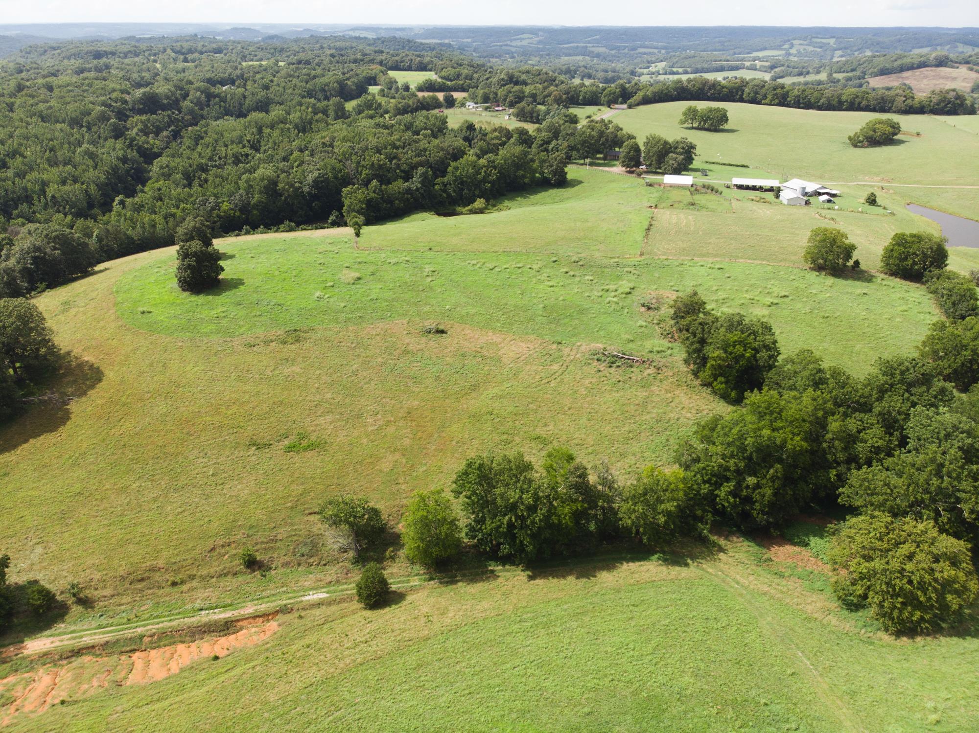 747 Pigeon Roost Road Pulaski, TN 38478 - Photo 6 of 21 Gallery Image 6