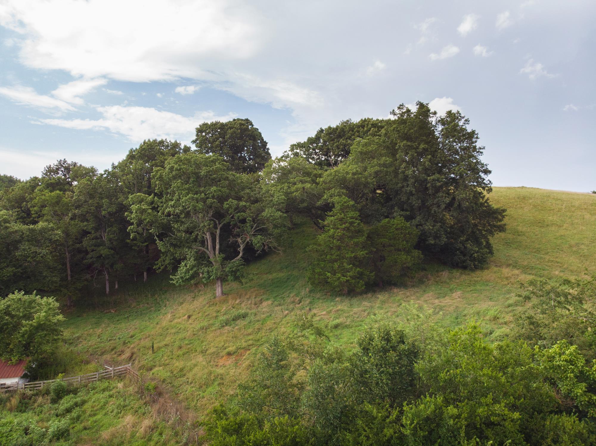 747 Pigeon Roost Road Pulaski, TN 38478 - Photo 10 of 21 Gallery Image 10