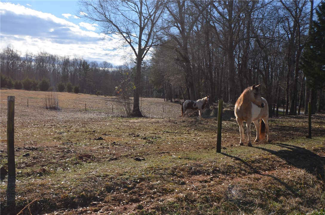 66-67 Lakefront Road Anderson, SC 29626 - Photo 12 of 14