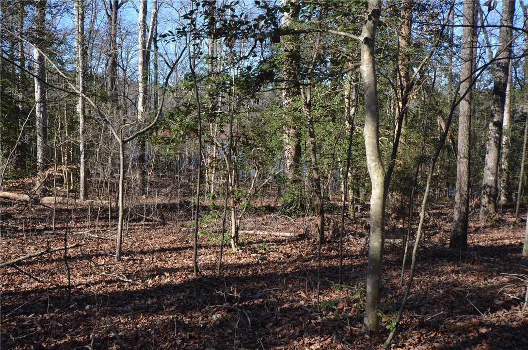 66-67 Lakefront Road Anderson, SC 29626 - Photo 4 of 14