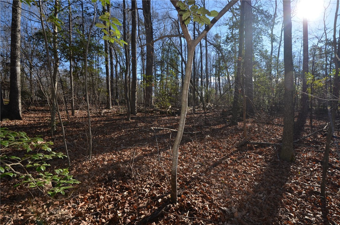66-67 Lakefront Road Anderson, SC 29626 - Photo 5 of 14