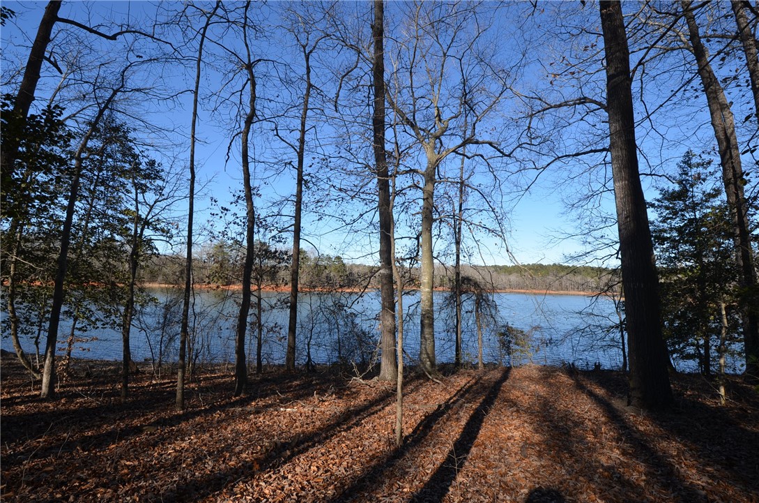 66-67 Lakefront Road Anderson, SC 29626 - Photo 8 of 14