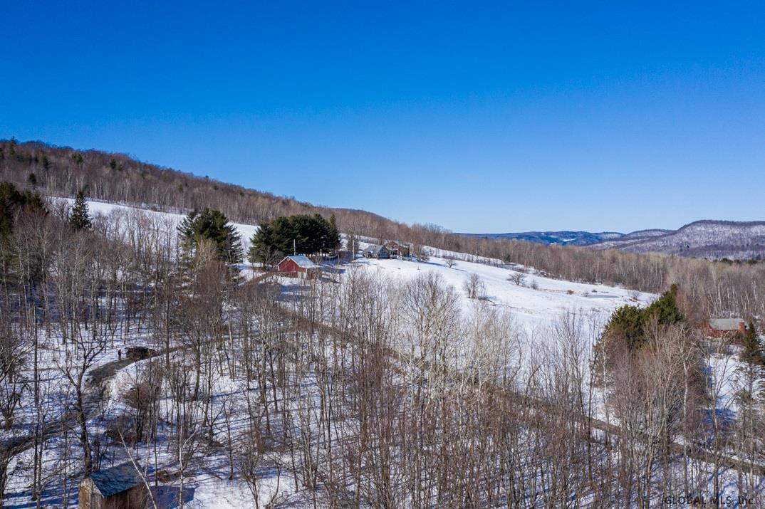 47 Canfield Road Petersburgh, NY 12138 - Photo 4 of 26 Photo 4