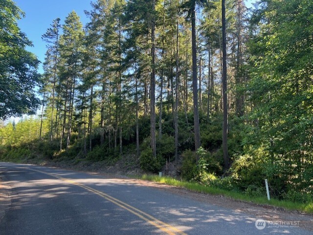 0 Northeast Tahuya Blacksmith Road Belfair, WA 98528 - Photo 1 of 6 a view of a yard