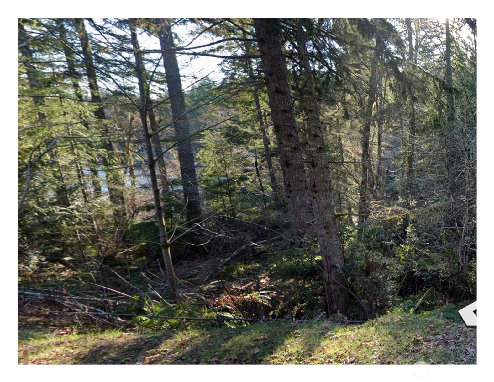 0 Northeast Tahuya Blacksmith Road Belfair, WA 98528 - Photo 2 of 6 a view of outdoor space and garden
