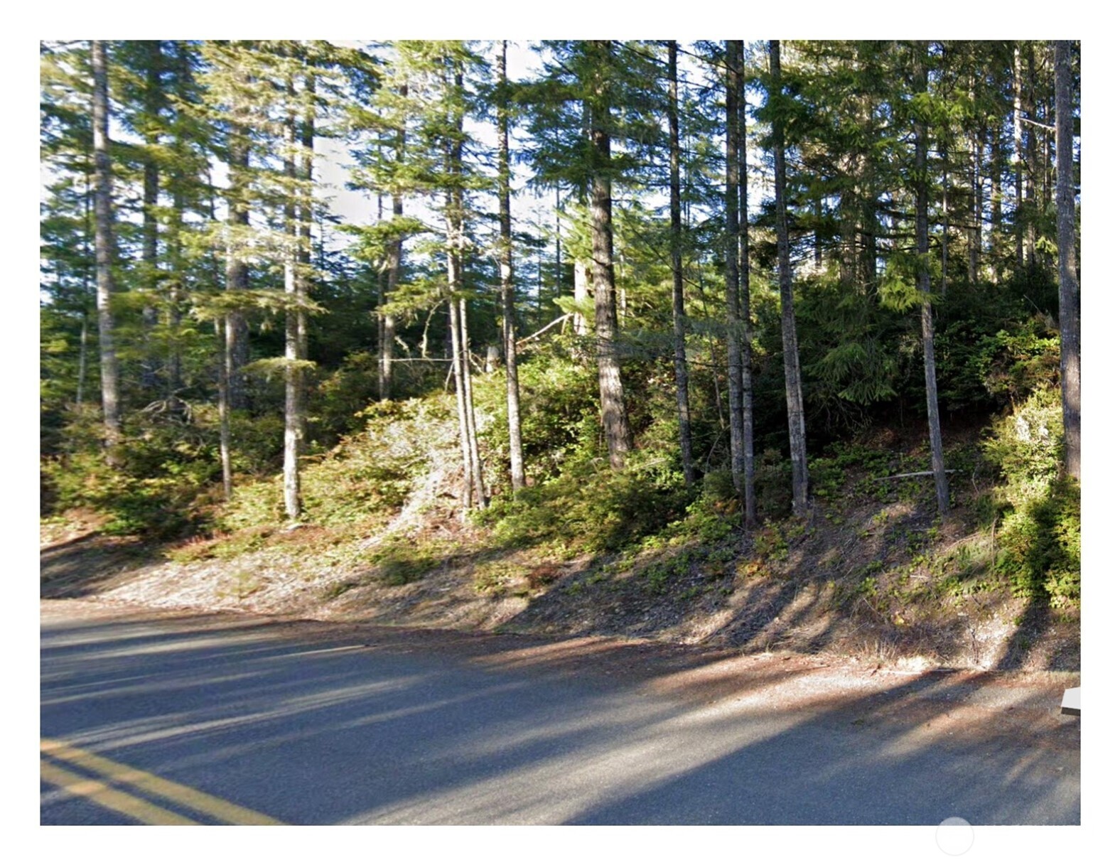 0 Northeast Tahuya Blacksmith Road Belfair, WA 98528 - Photo 3 of 6 a wooden bench sitting in front of a building