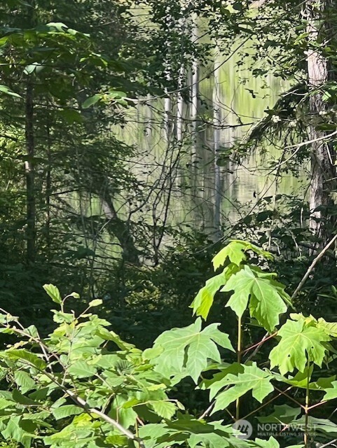 0 Northeast Tahuya Blacksmith Road Belfair, WA 98528 - Photo 4 of 6 a backyard of a building with large trees