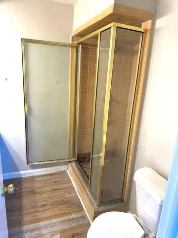 a bathroom with a shower and a toilet