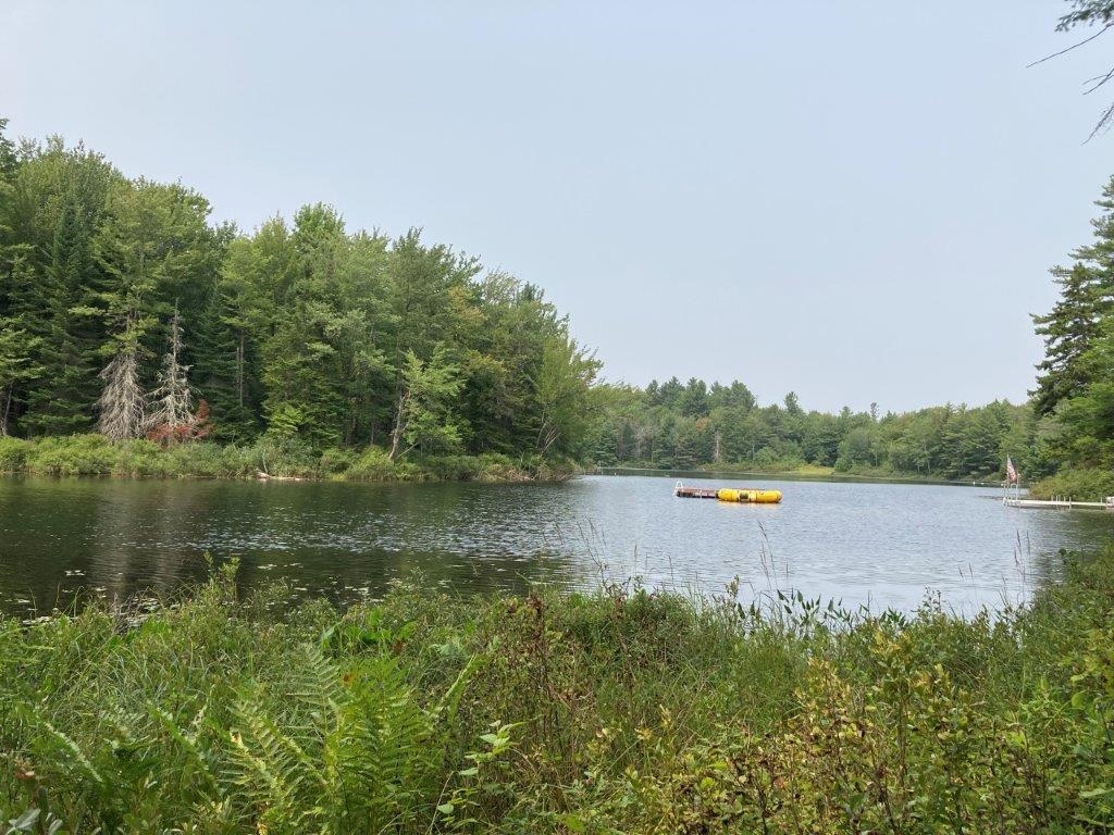 379 Halfmoon Pond Road Grafton, NH 03240 - Photo 1 of 20