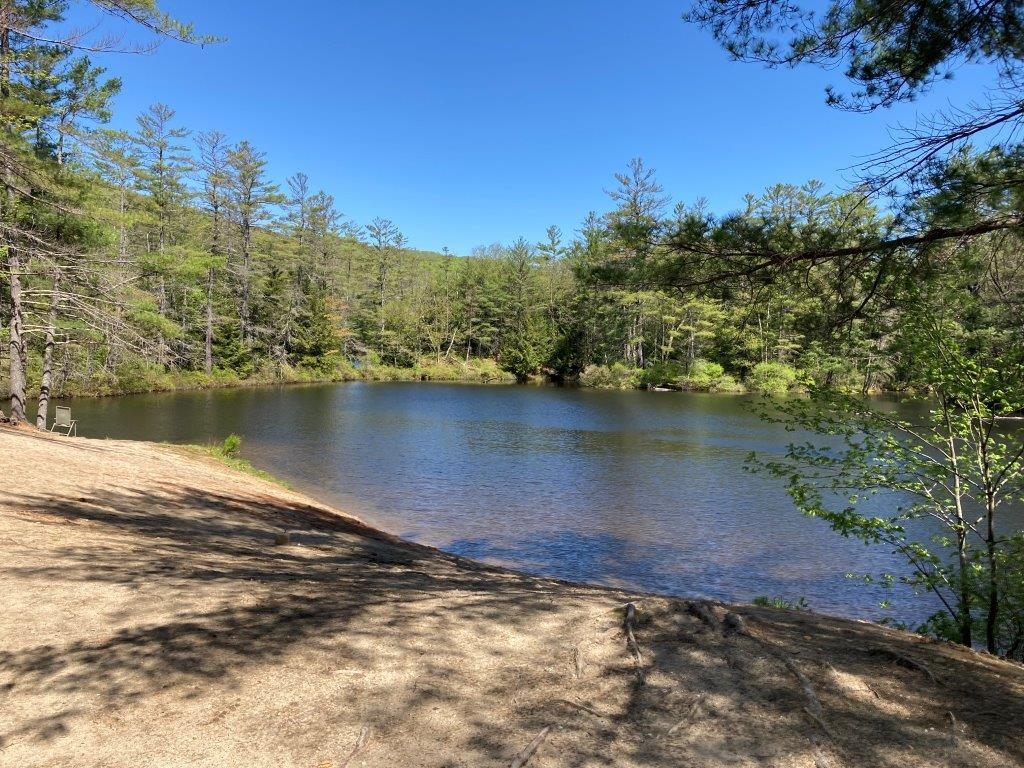 379 Halfmoon Pond Road Grafton, NH 03240 - Photo 11 of 20