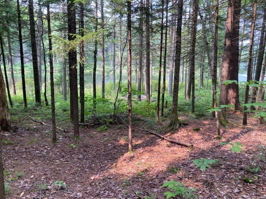 379 Halfmoon Pond Road Grafton, NH 03240 - Photo 13 of 20