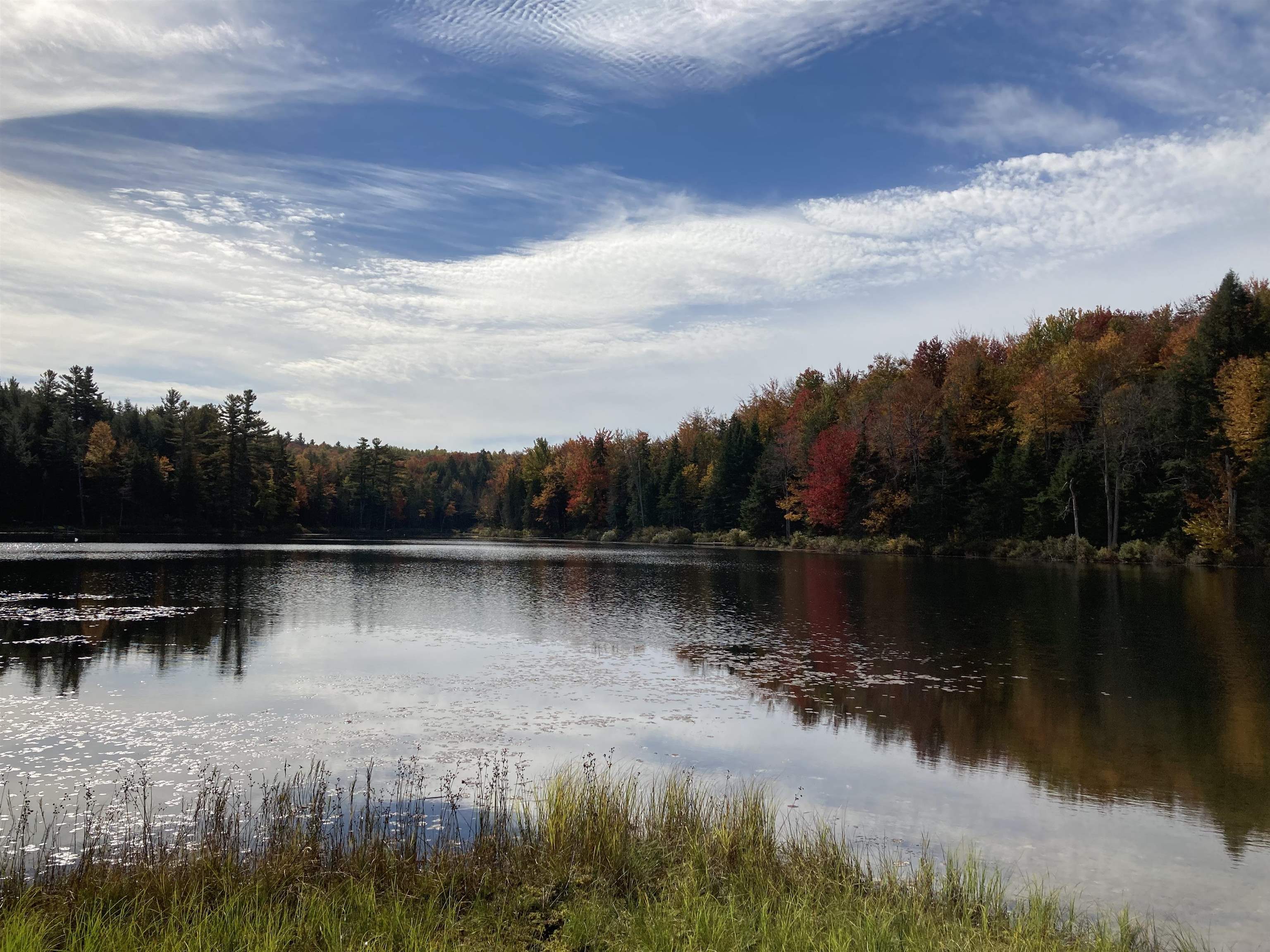 379 Halfmoon Pond Road Grafton, NH 03240 - Photo 15 of 20