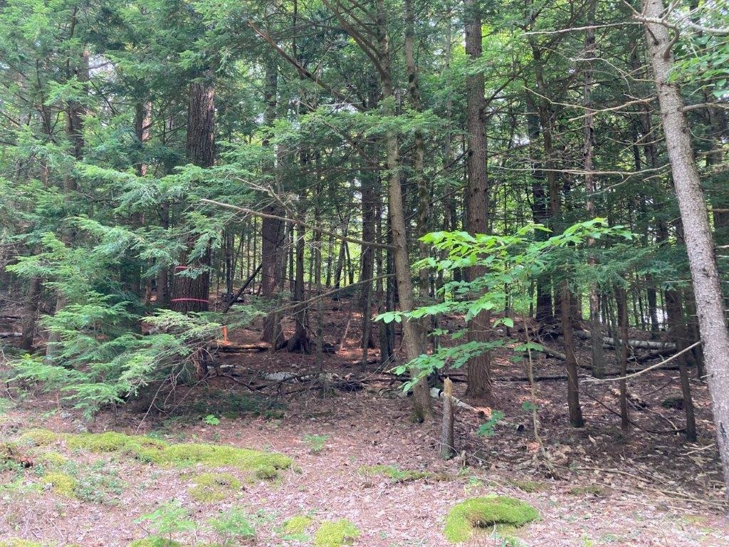 379 Halfmoon Pond Road Grafton, NH 03240 - Photo 18 of 20
