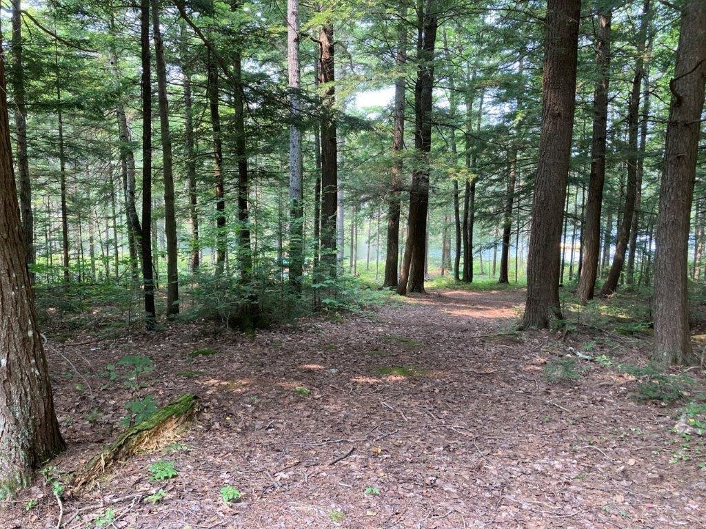 379 Halfmoon Pond Road Grafton, NH 03240 - Photo 20 of 20