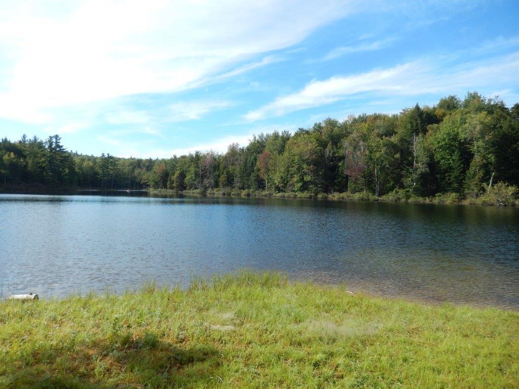379 Halfmoon Pond Road Grafton, NH 03240 - Photo 2 of 20