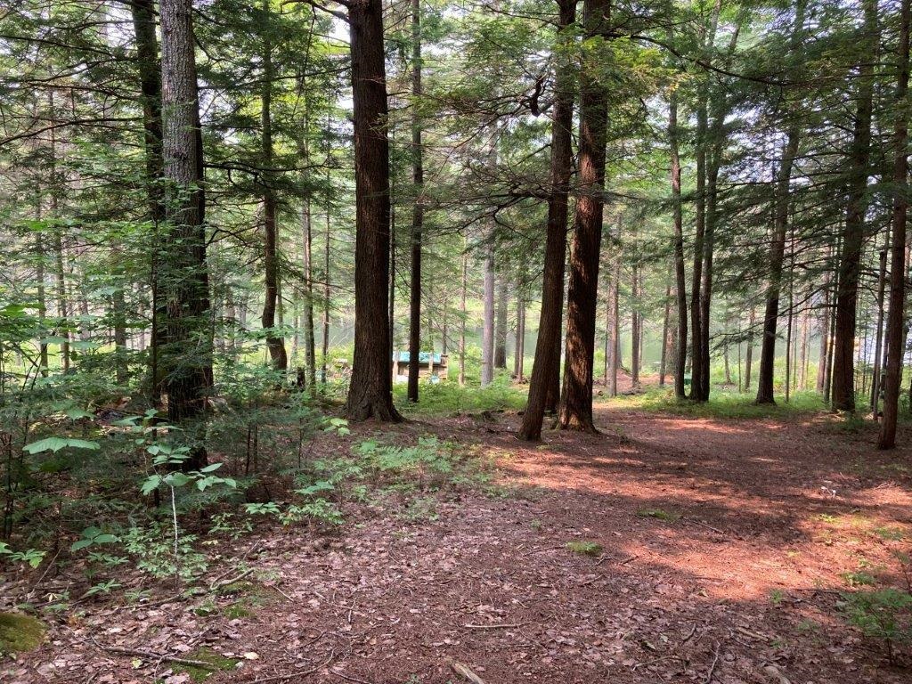 379 Halfmoon Pond Road Grafton, NH 03240 - Photo 3 of 20