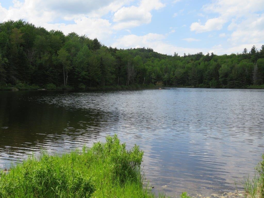 379 Halfmoon Pond Road Grafton, NH 03240 - Photo 4 of 20