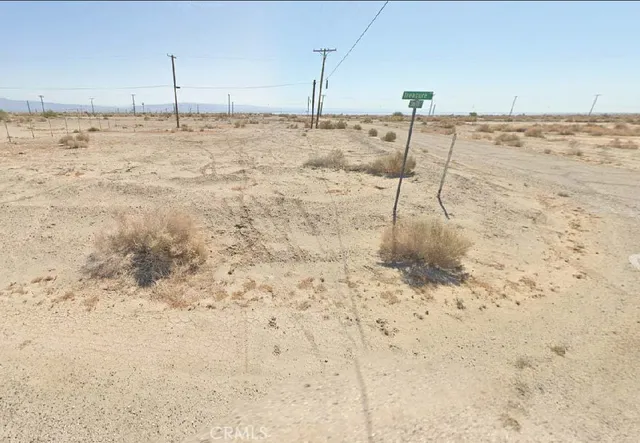 a view of a dry yard