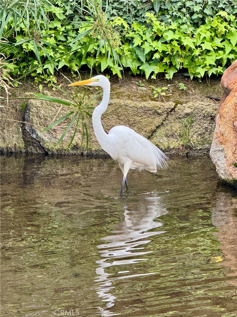 4140 Workman Mill Road, Unit 253 Whittier, CA 90601 - Photo 51 of 63