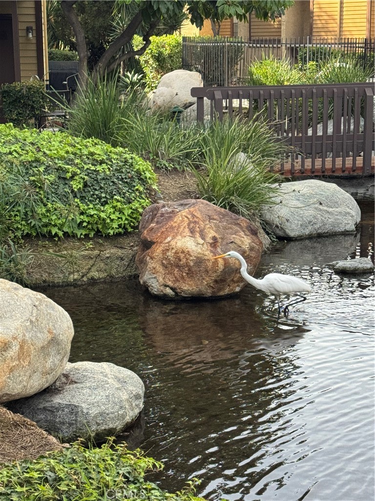 4140 Workman Mill Road, Unit 253 Whittier, CA 90601 - Photo 52 of 63 a view of a lake with lawn chairs and large trees