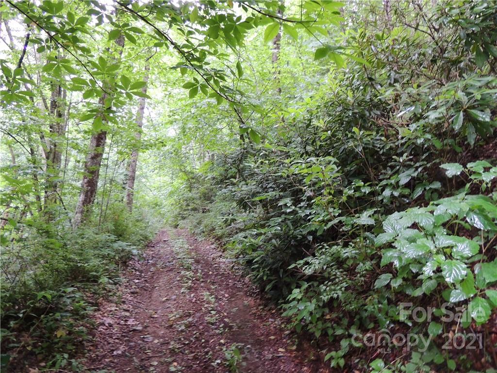 64 Clay View Drive Fairview, NC 28730 - Photo 3 of 7 a view of a large yard with lots of green space