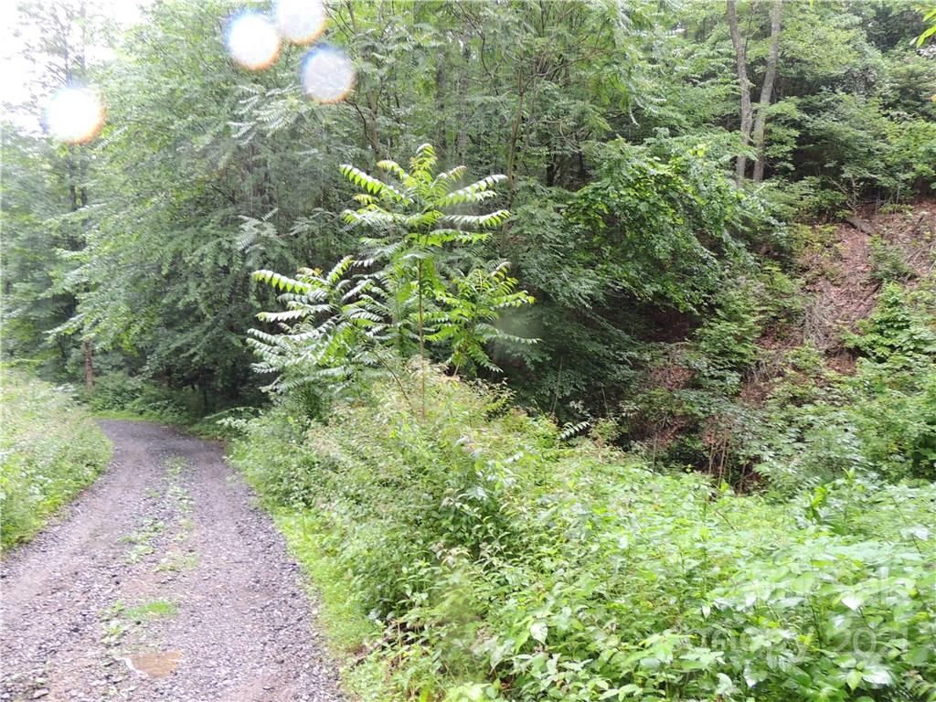 64 Clay View Drive Fairview, NC 28730 - Photo 4 of 7