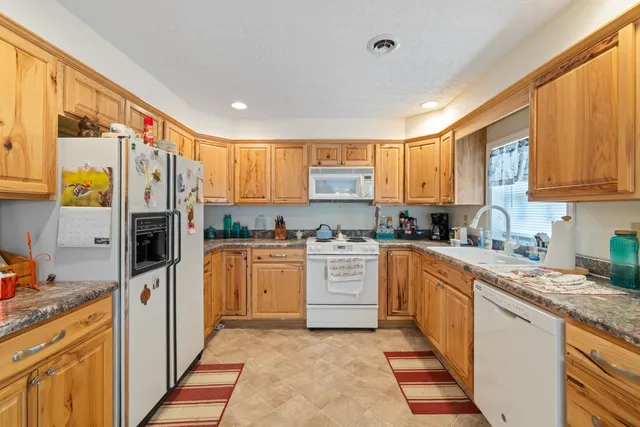 a view of a flower in a garden