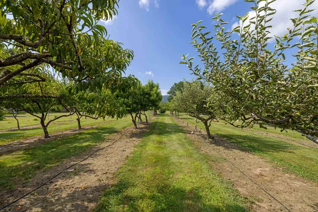 $799,900 | 347 Horseshoe Circle, Stuarts Draft, VA 24477