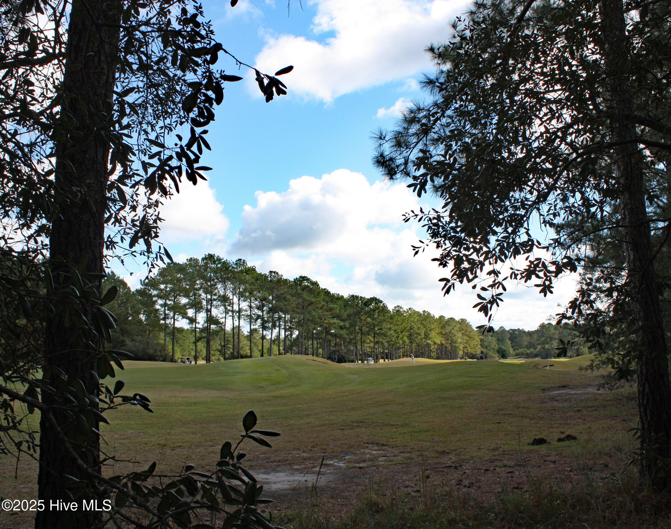 6282 Castlebrook Way Southwest Ocean Isle Beach, NC 28469 - Photo 5 of 35 View of Leopard's Chase Golf