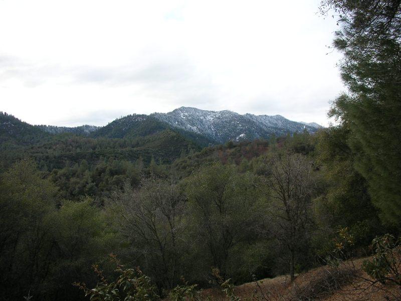 Brej Road Igo, CA 96047 - Photo 3 of 11 a view of a mountain range with trees