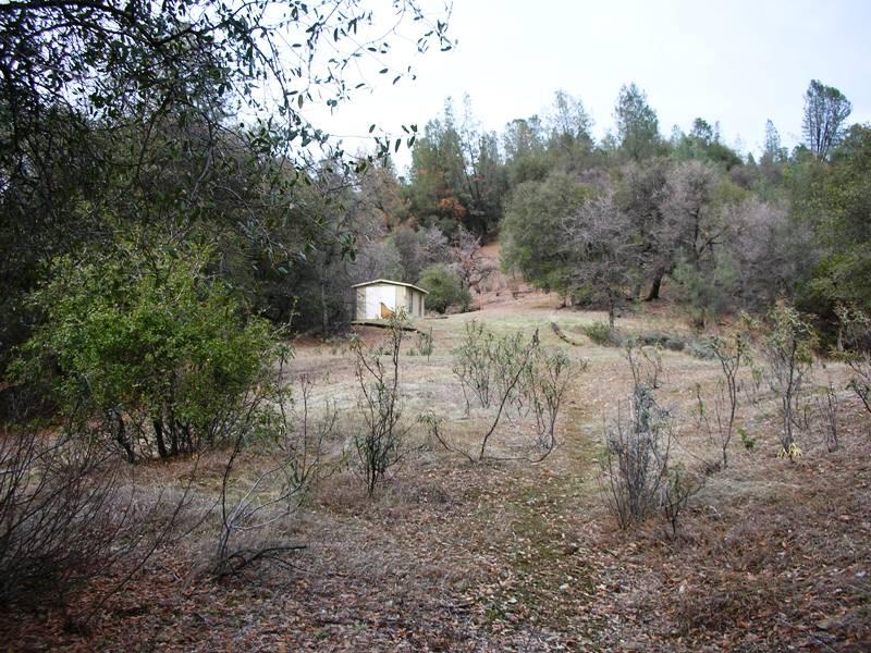 Brej Road Igo, CA 96047 - Photo 8 of 11 a view of a dry yard with trees
