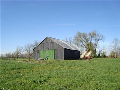 375 Stoney Point Road Paris, KY 40361 - Photo 3 of 25 Photo 3